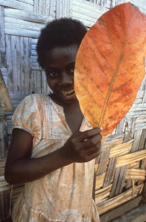 Girl showing a colorful leaf