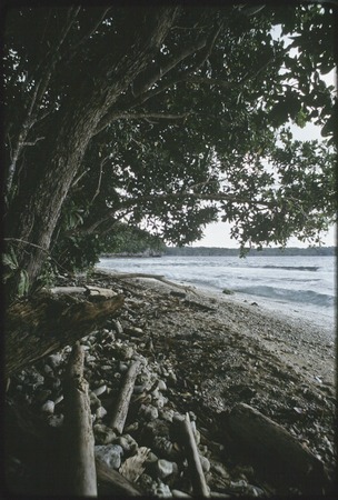 Kiriwina Island&#39;s east coast, uplifted coral reef cliffs &quot;raibwaga&quot; on left
