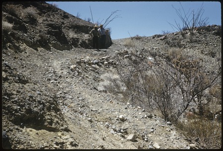 Location where Art Kensler got stuck climbing out of Arroyo La Dipugosa, near El Mármol