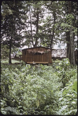 House occupied by Hutchins in Tukwaukwa village, Kiriwina