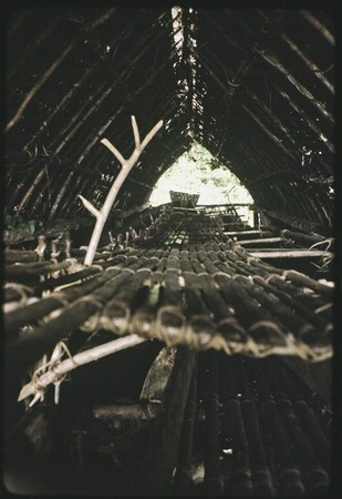 Canoes: kula canoe under a shelter