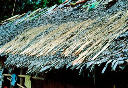 Pandanus Drying on Thatched Roof