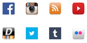 Social Media Icons connect