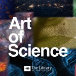 Art of Science Contest: Open Voting
