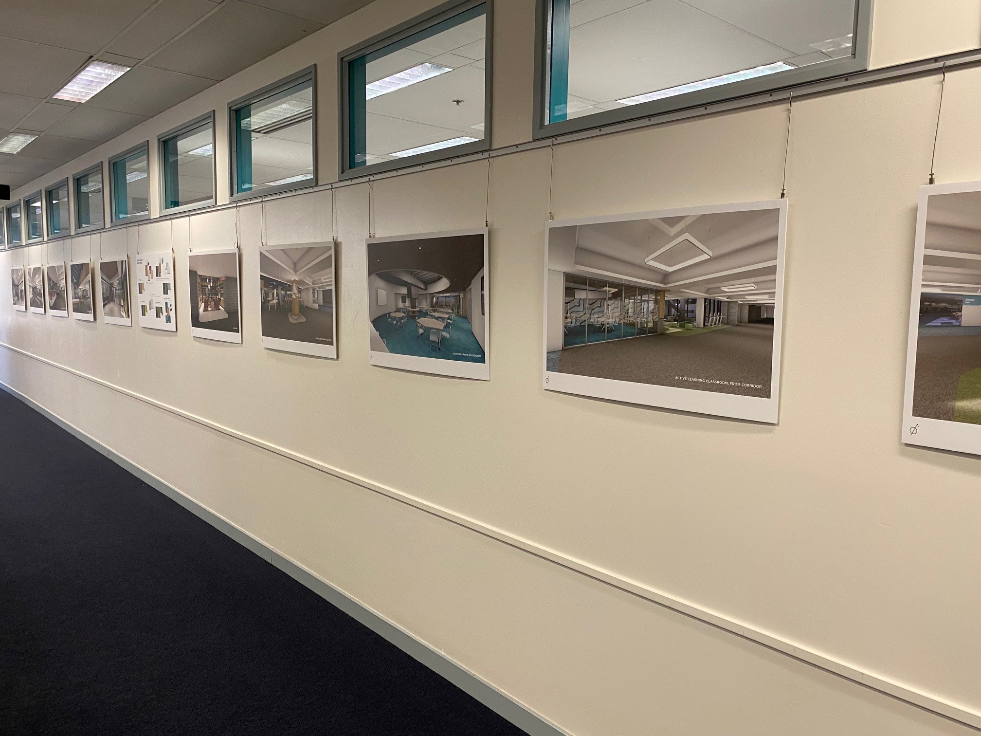 Poster boards with renderings of the renovations at Geisel Library hanging on a wall.