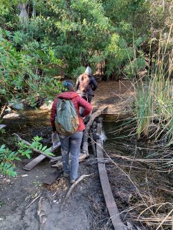Volunteers conduct surveys of unsheltered people and encampments in the San Diego River floodplain zone to contribute to evaluations of environmental and human health risks in the watershed.