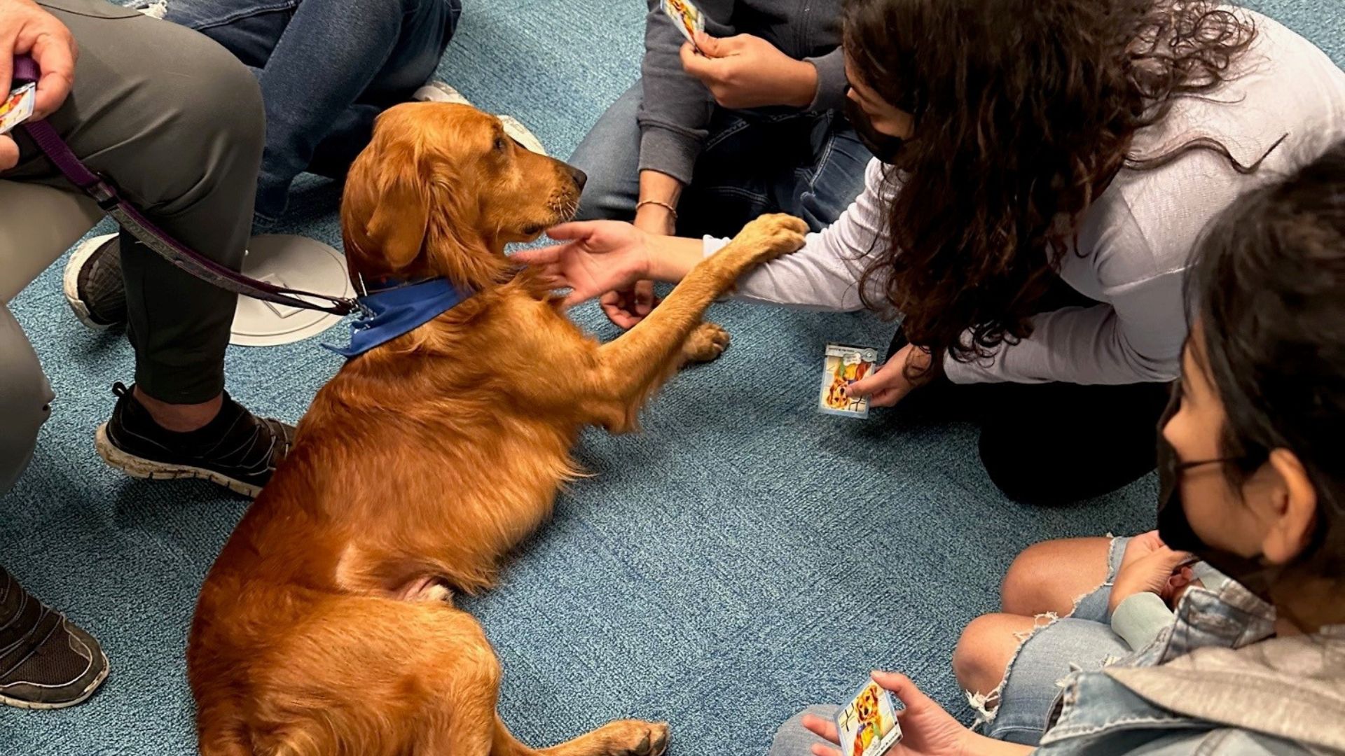 Students at UC San Diego petting a golden retriever at Geisel Library for the Library's De-Stress with Pups event series.