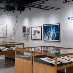 Ebb and Flow: Giant Kelp Forests through Art, Science and the Archives | Exhibition