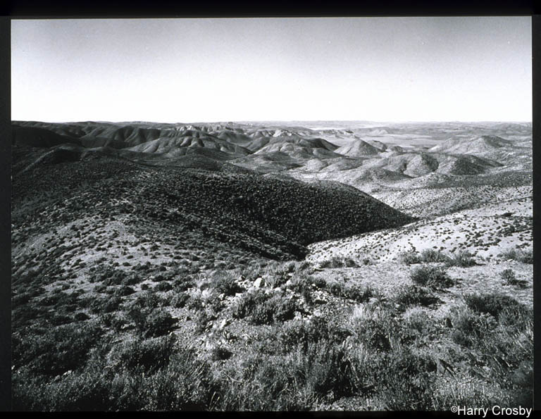 San Telmo Valley seen from foothills of the Sierra de San Pedro Mártir, 1968