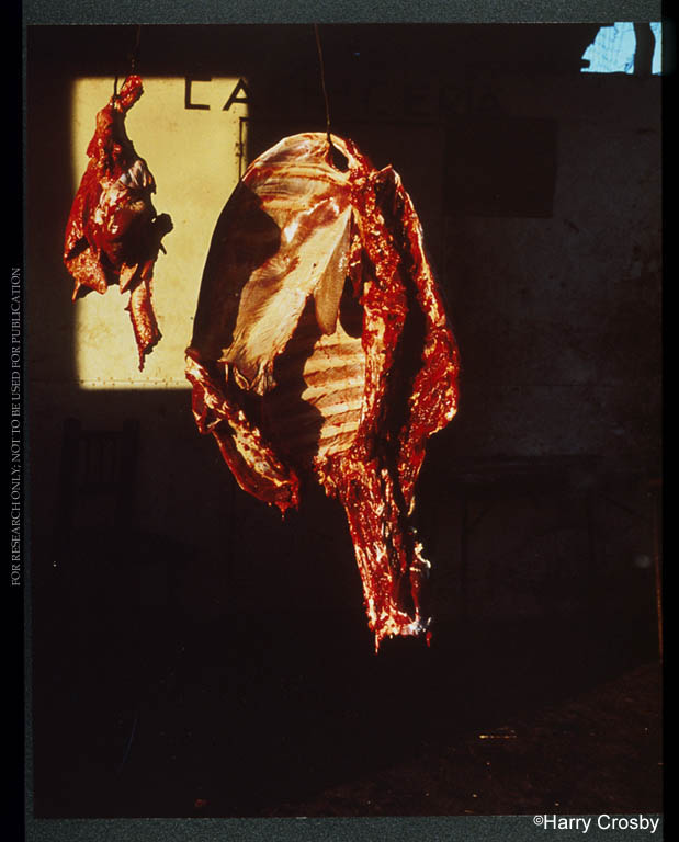 Roadside butcher shop in Villa Insurgentes, 1967