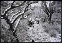 El Camino Real in Arroyo del Infierno, 1971