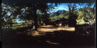 Rancho de San Dionisio in the foothills of the Sierra de la Laguna, 1972.