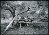 Tanning Vats at Rancho de San Nicolás, 1971.
  