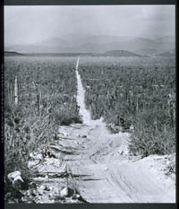 Stretch of the old dirt road near Rancho del Tablón, 1971