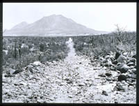 Old road from San Ignacio to Santa Rosalía, 1975