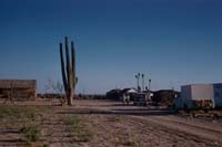 Rancho Wilson on the Vizcaino Desert, April 30, 1961
