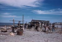La Laguna, turtle camp on Laguna San Ignacio, April 29, 1961
