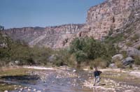 Pursima Canyon, April 27, 1957