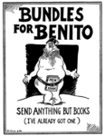 Bundles for Benito